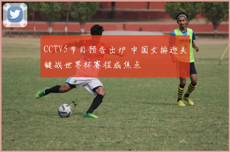 CCTV5节目预告出炉 中国女排迎关键战世界杯赛程成焦点